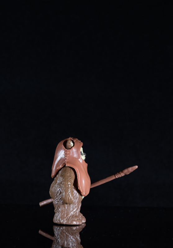 Wicket W. Warwick 